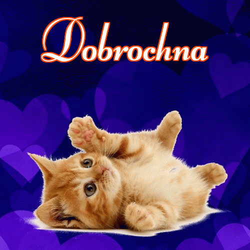 Dobranoc!。