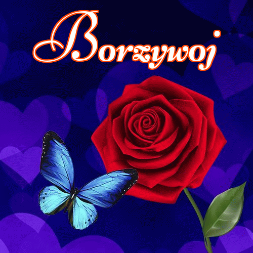 Dobry wieczór!。 