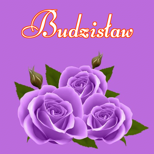 Dobry wieczór!。 