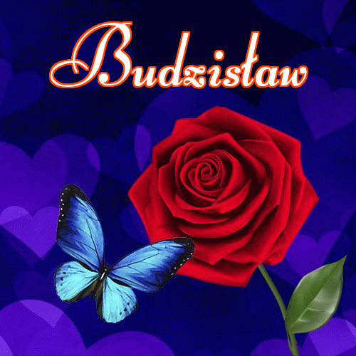 Dobry wieczór!。 