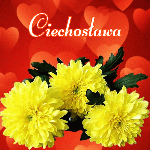 Dobry wieczór!。 