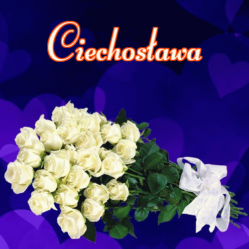 Dobry wieczór!。 
