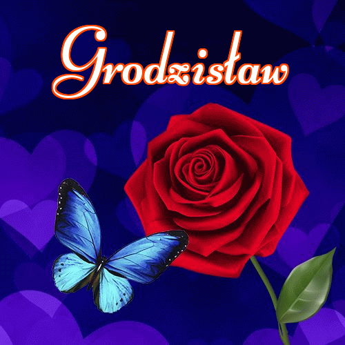 Dobry wieczór!。 