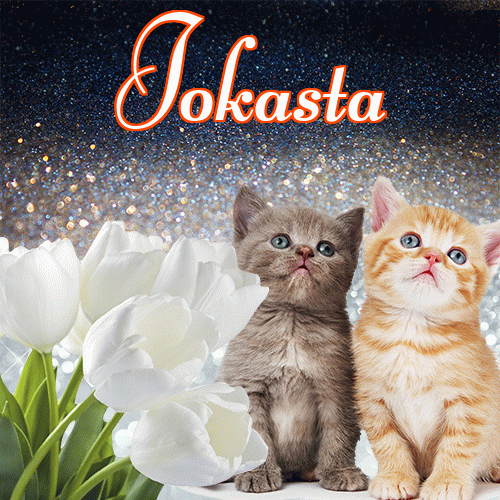 Dobry wieczór!。 