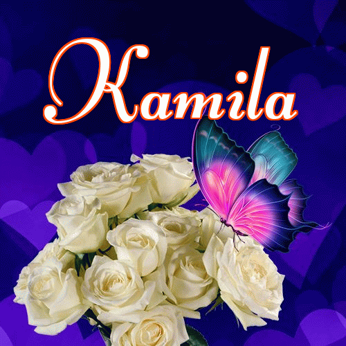 Dobry wieczór!。 