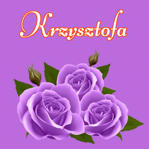 Dobry wieczór!。 