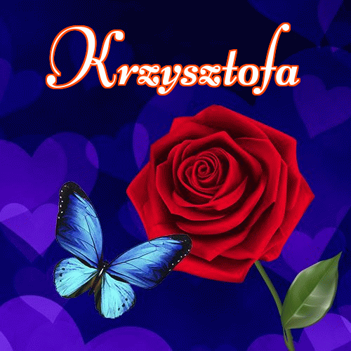 Dobry wieczór!。 