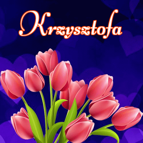 Dobry wieczór!。 