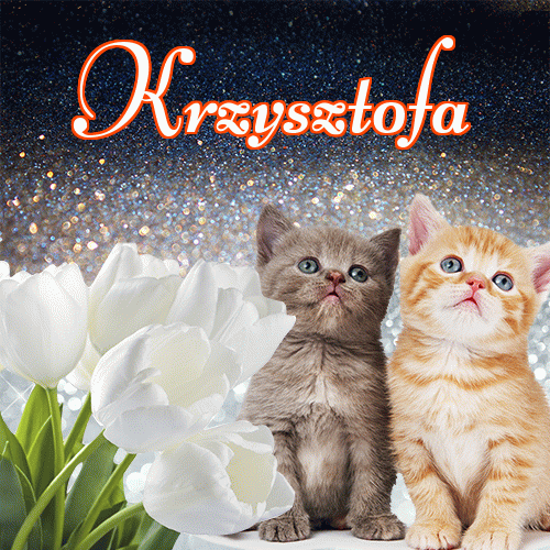 Dobry wieczór!。 
