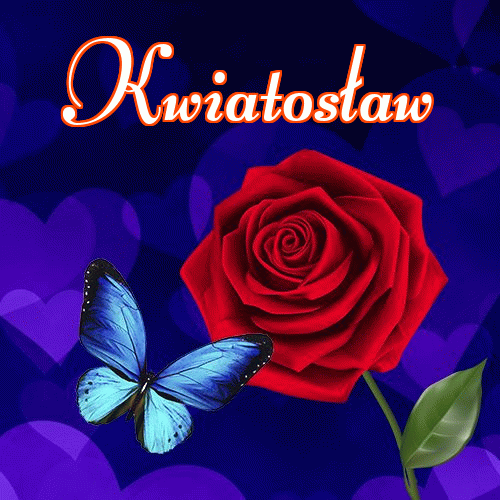 Dobry wieczór!。