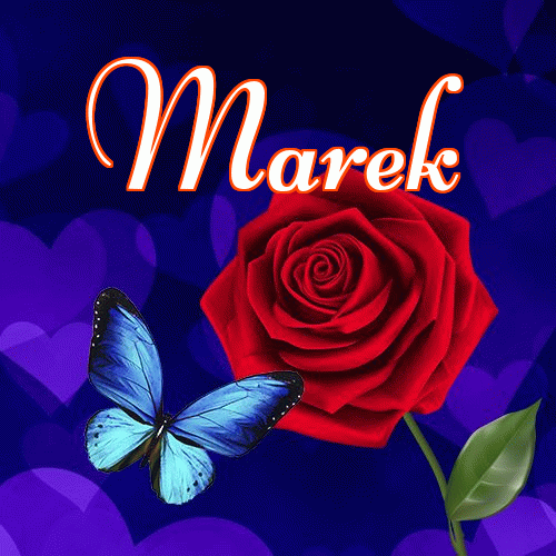 Dobry wieczór!。 