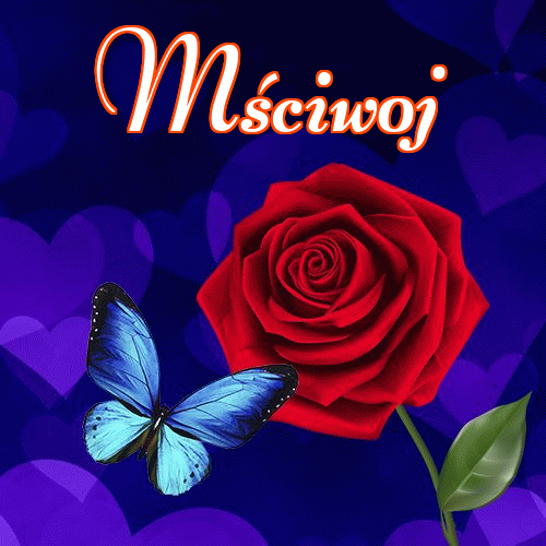 Dobry wieczór!。 