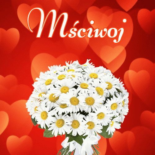 Dobry wieczór!。 