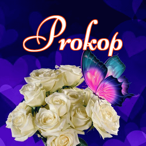 Dobry wieczór!。 