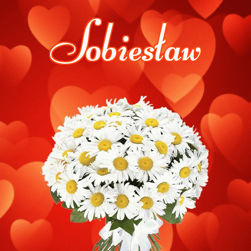 Dobry wieczór!。 