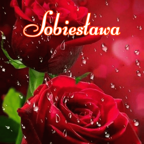 Dobry wieczór!。 