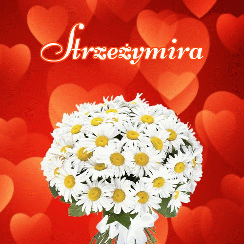 Dobry wieczór!。 