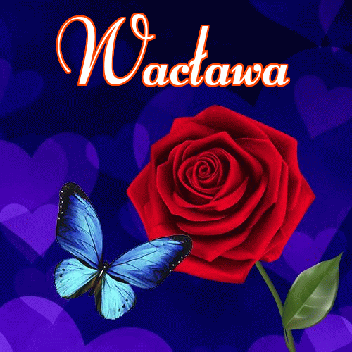 Dobry wieczór!。 