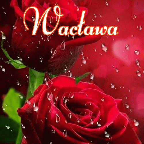 Dobry wieczór!。 