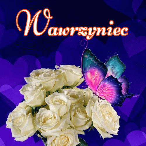 Dobry wieczór!。 