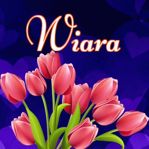 Dobry wieczór!。 