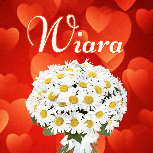 Dobry wieczór!。 