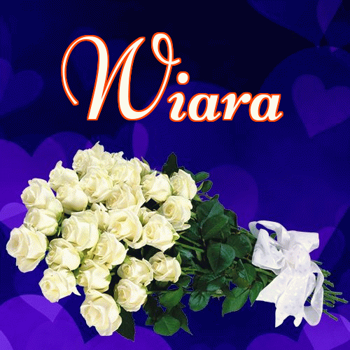 Dobry wieczór!。 
