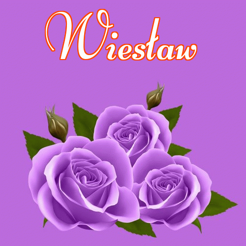 Dobry wieczór!。