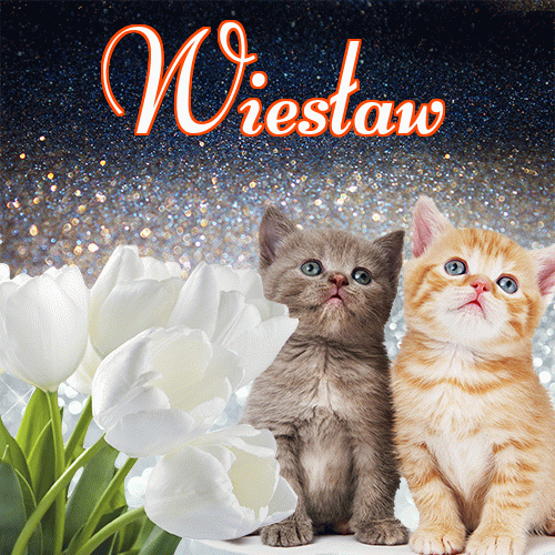 Dobry wieczór!。