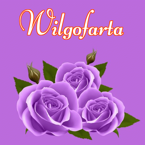 Dobry wieczór!。 