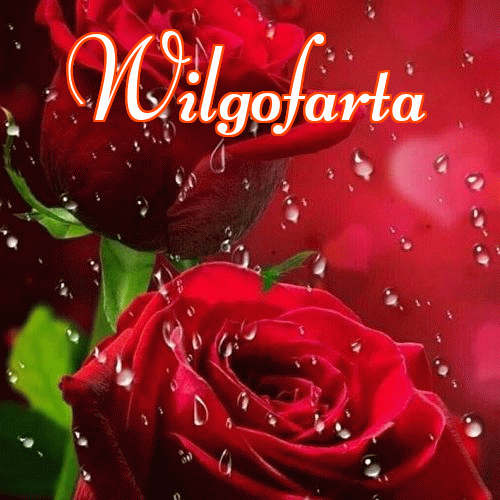 Dobry wieczór!。 