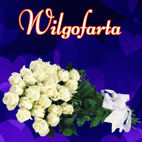 Dobry wieczór!。 