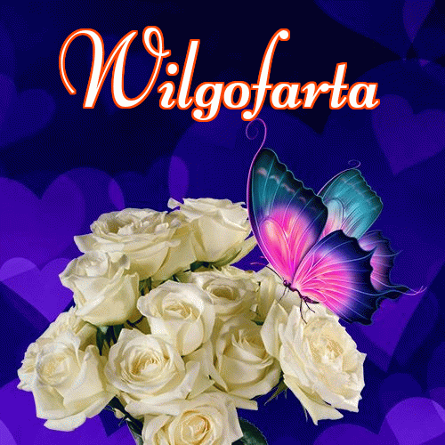 Dobry wieczór!。 