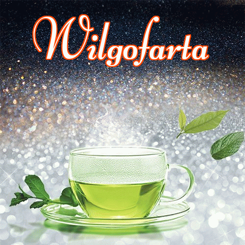 Dobry wieczór!。 