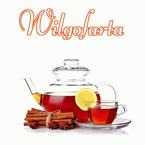 Dobry wieczór!。 