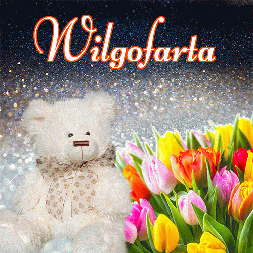Dobry wieczór!。 