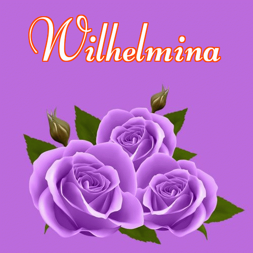 Dobry wieczór!。 