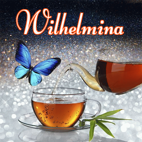 Dobry wieczór!。 
