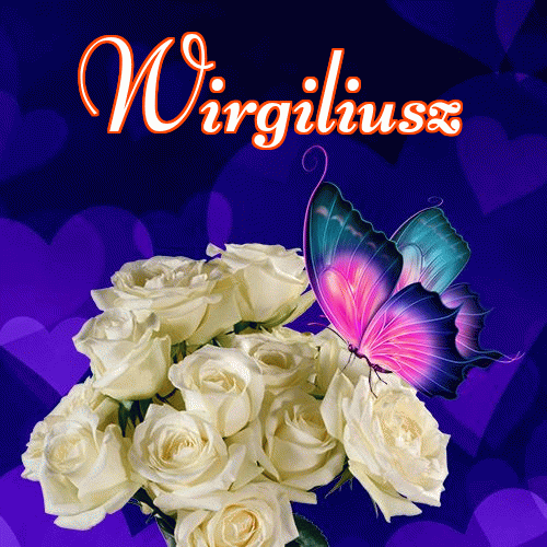 Dobry wieczór!。 