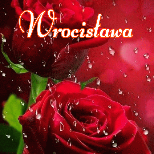 Dobry wieczór!。 