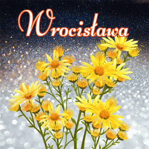 Dobry wieczór!。 