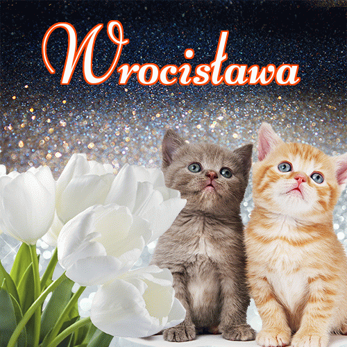 Dobry wieczór!。 