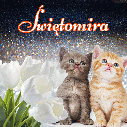 Dobry wieczór!。 