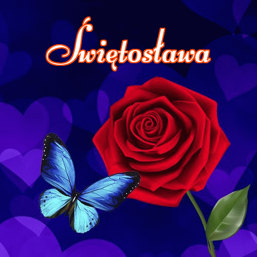 Dobry wieczór!。 