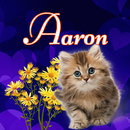 Milusich snów! Dobranoc!。 