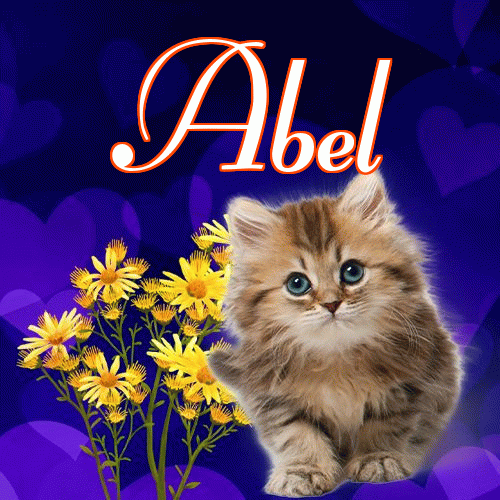 Milusich snów! Dobranoc!。 