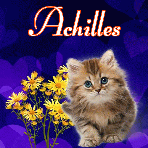 Milusich snów! Dobranoc!。 