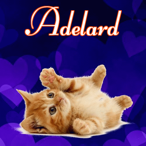 Milusich snów! Dobranoc!。 