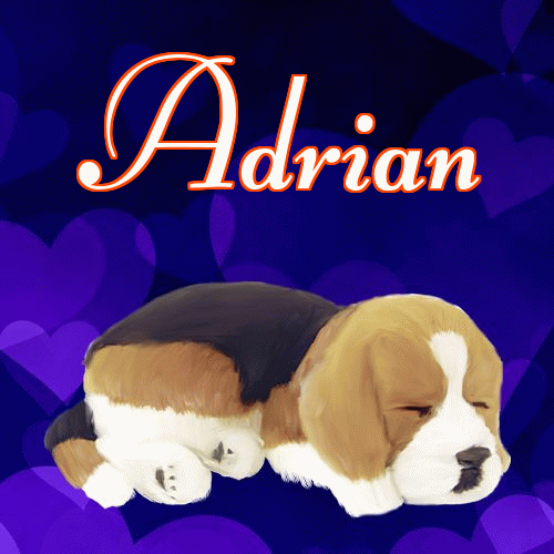 Milusich snów! Dobranoc!。 