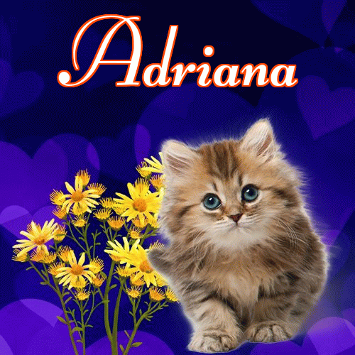 Milusich snów! Dobranoc!。 